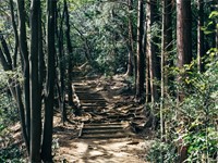 ¿Qué es un monte vecinal?